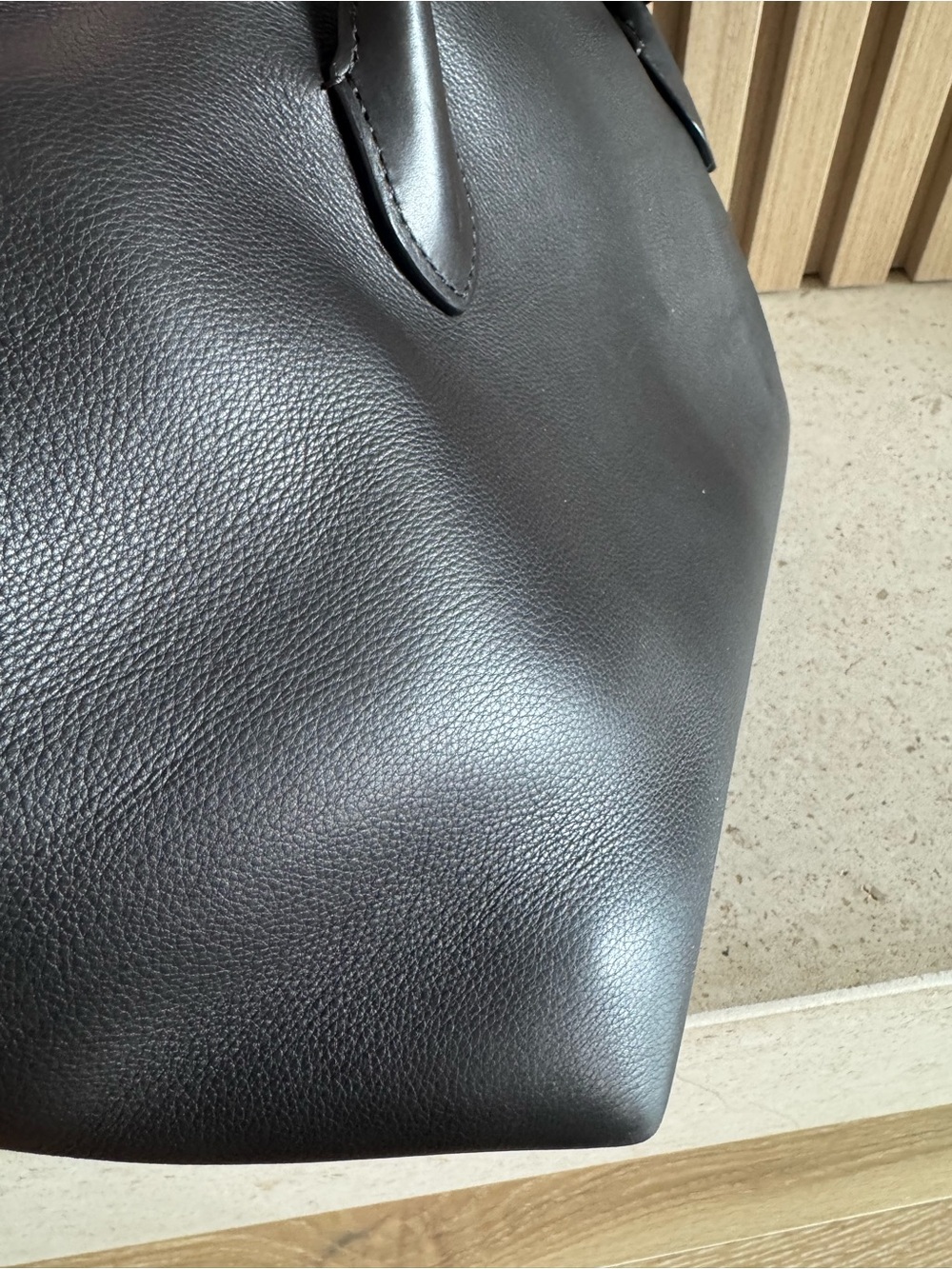 The Row Terrasse Bag - Picture 13 of 16